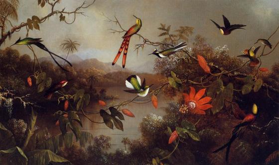 Tropical_Landscape_with_Ten_Hummingbirds