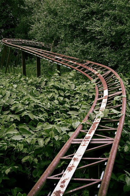 ROLLER COASTER DECAY