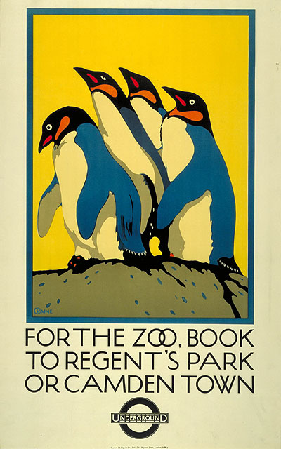 zoo9i