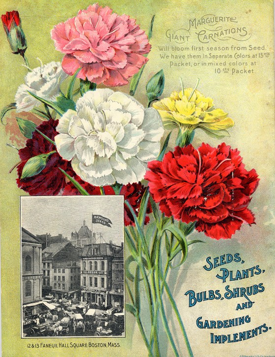 flower seed catalog 5002