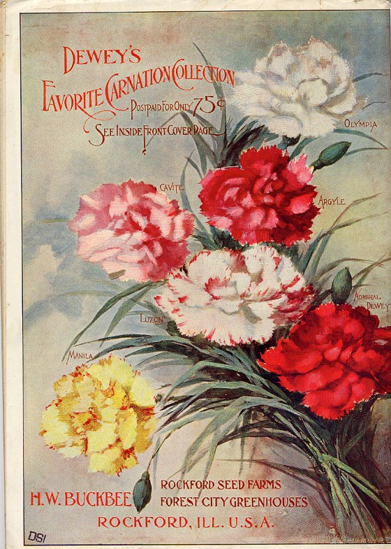 flower seed catalog 5003