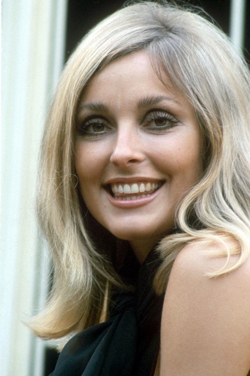 sharon tate 500
