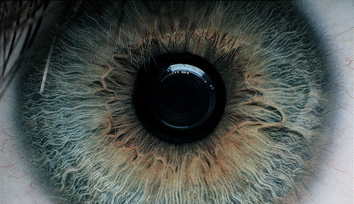 eye