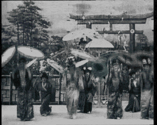 japanese umbrella dance GIF