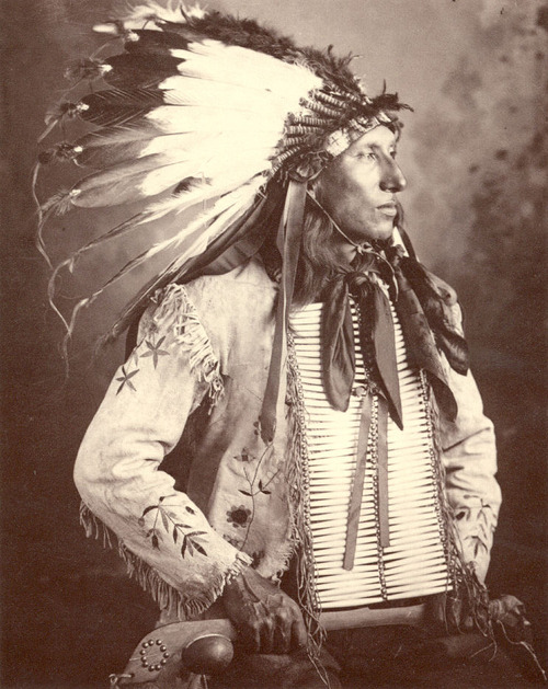 native american 213