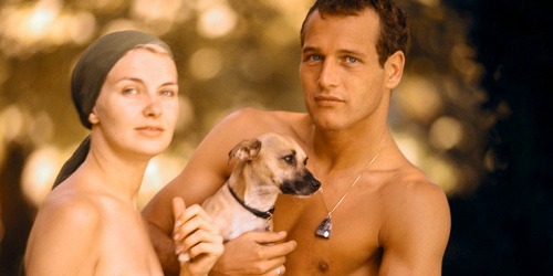 paul newman shirtless 501
