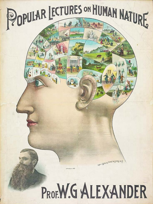 phrenology 234