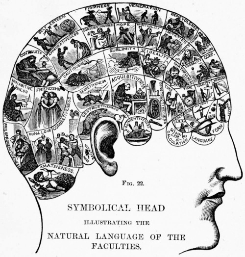 phrenology 32