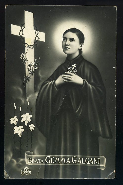 st gemma