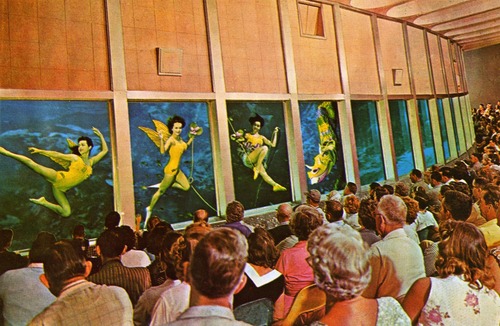 underwater theatre 500