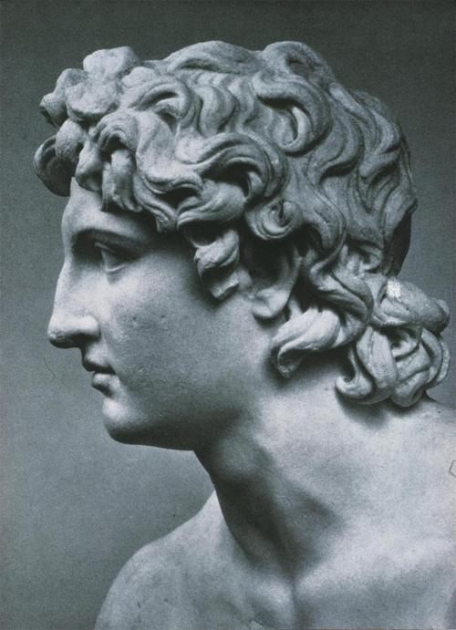 antinous 42