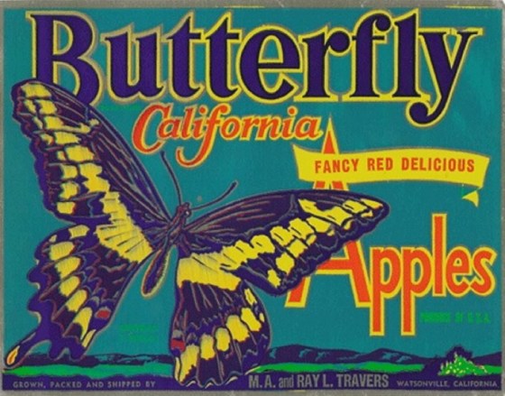 butterfly apples