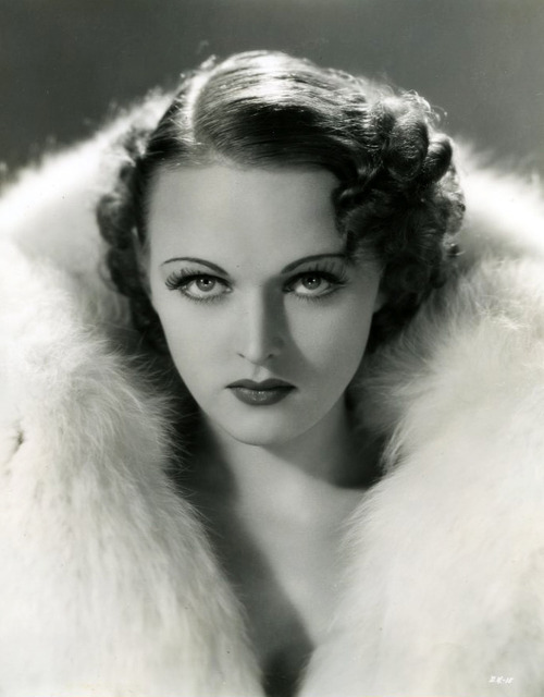 dorothy arnold