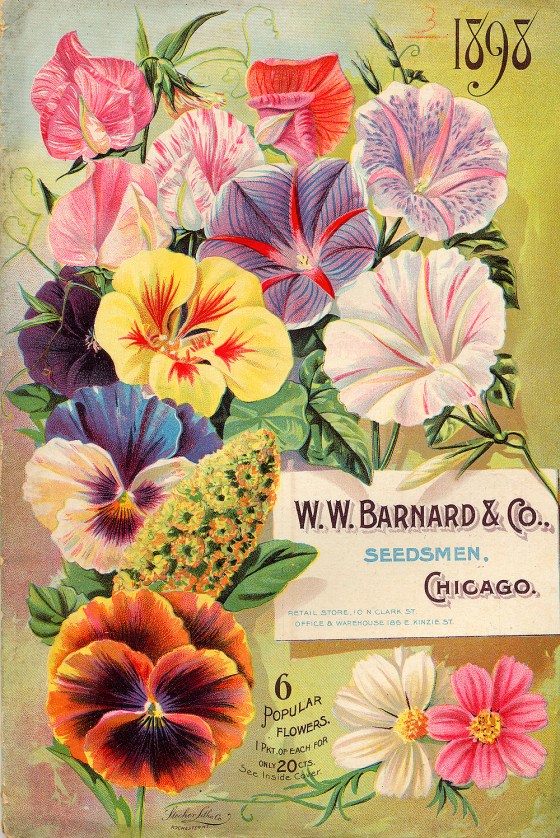 flower seed catalog 17610