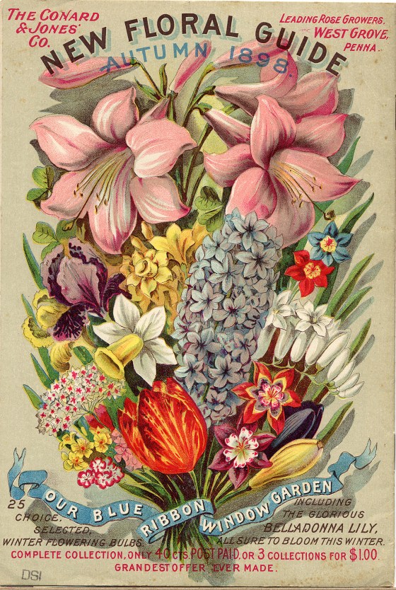 flower seed catalog 17621