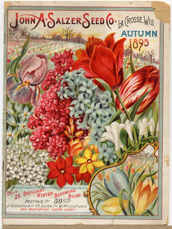 flower seed catalog 17623