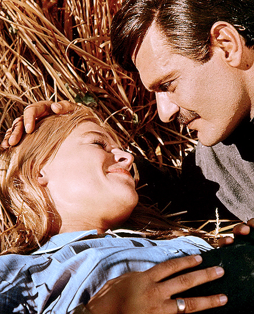 omar sharif julie christie