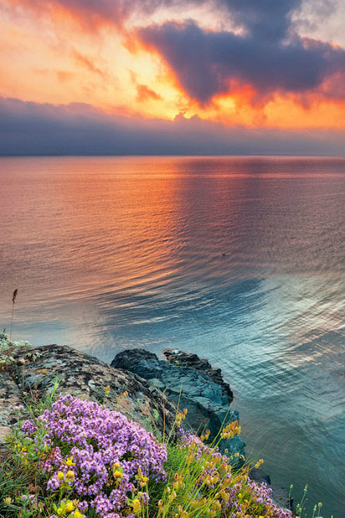 bugaria evgeni dinev