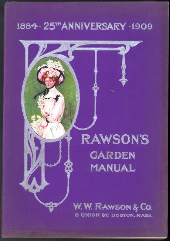 flower seed catalog 17611