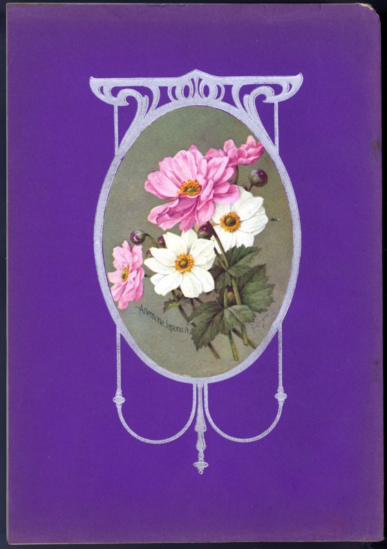 flower seed catalog 17612