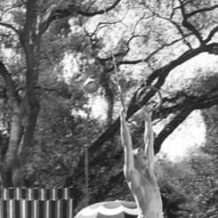 randolph scott and cary grant GIF 250