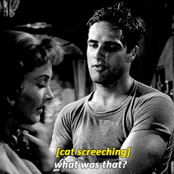 vivien marlon streetcar GIF 252