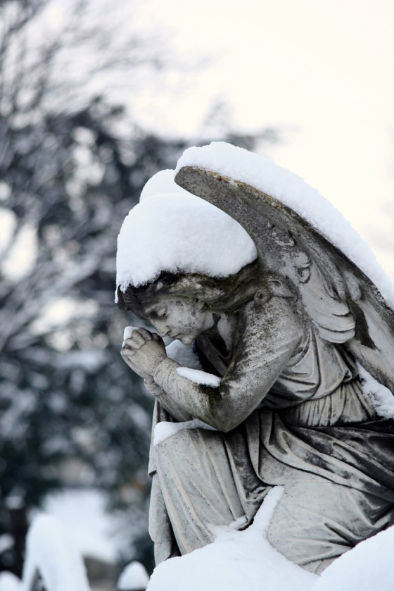 ANGEL IN THE SNOW