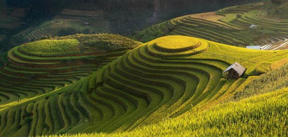 terraced valley 1280