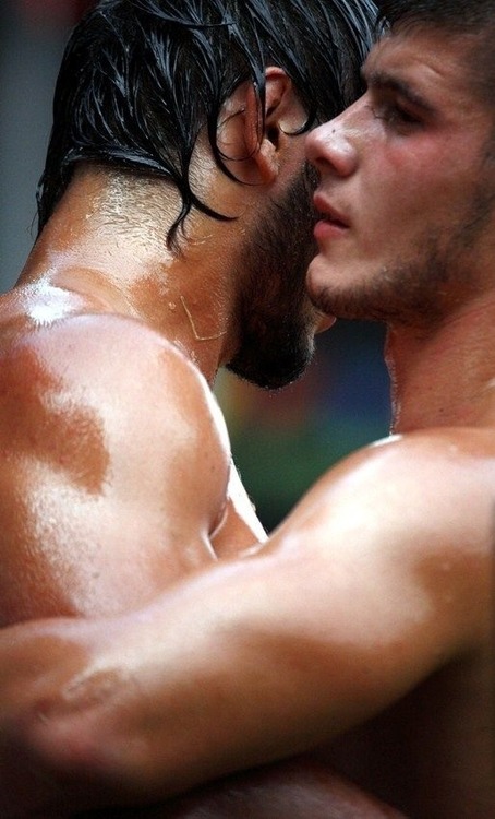 turkish oil wrestlers 646