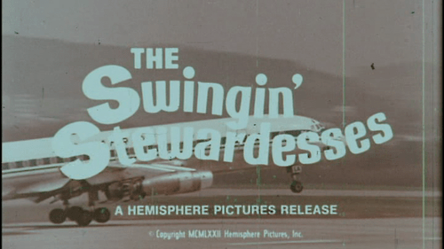 airplane swinging stweardesses