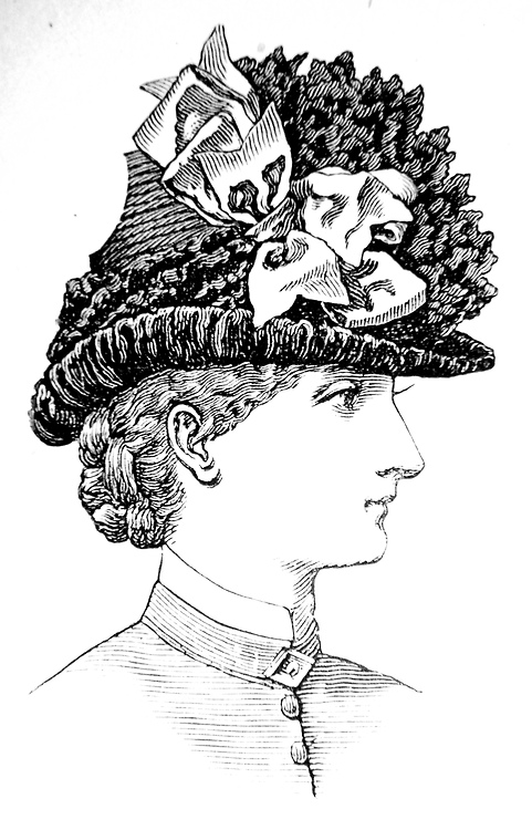 hats 1880s ladies 500