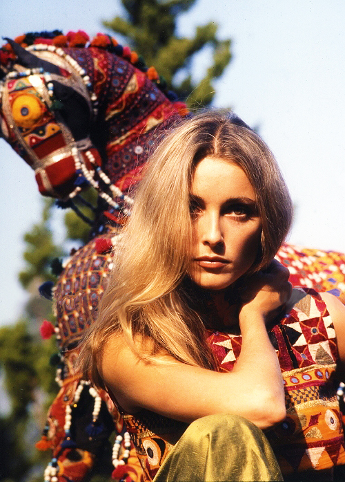 sharon tate 502