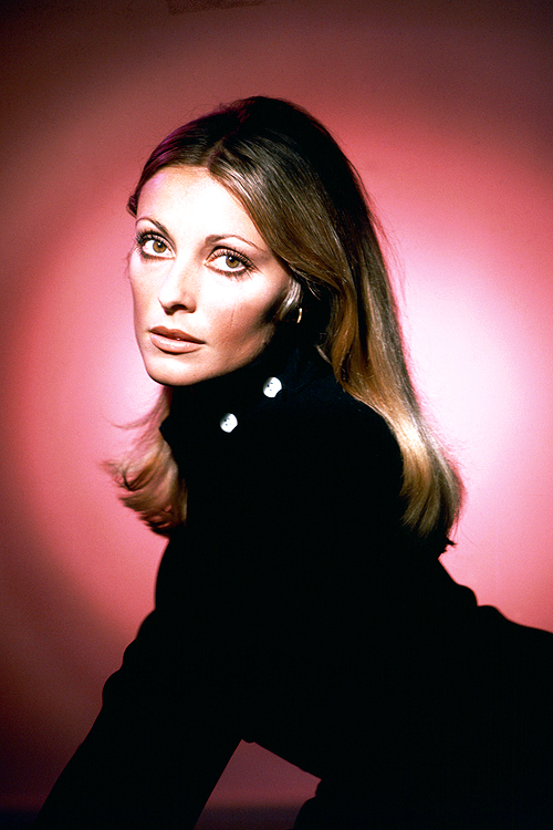 sharon tate 504