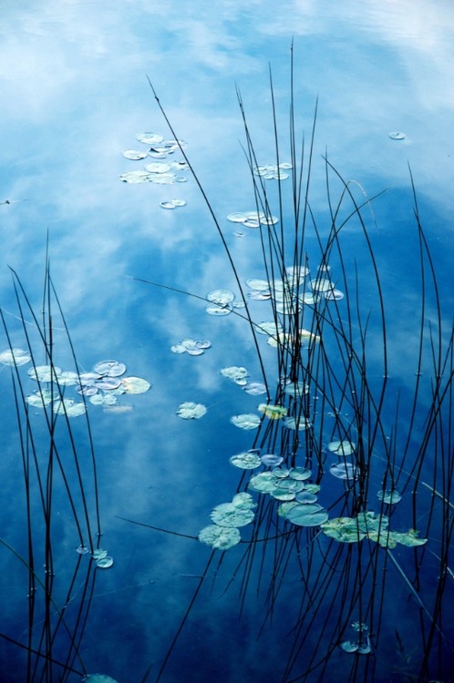 water and sky