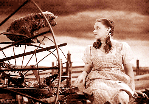 wizard of oz rainbow GIF001
