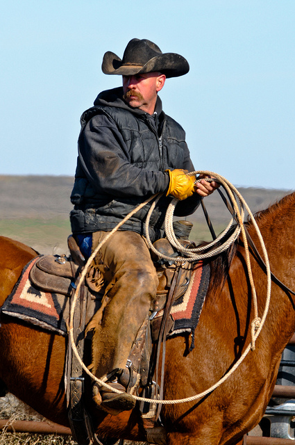 cowboy 8404