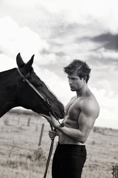 cowboy shirtless 504