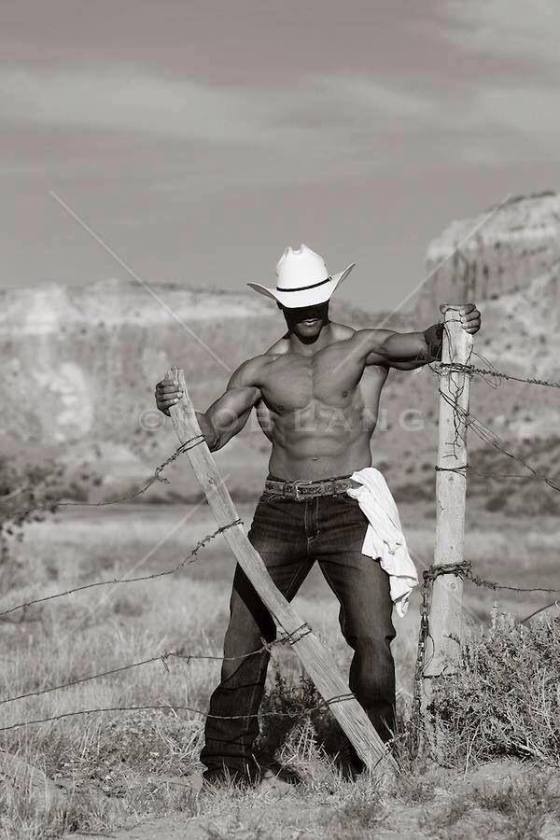 cowboy shirtless 6519