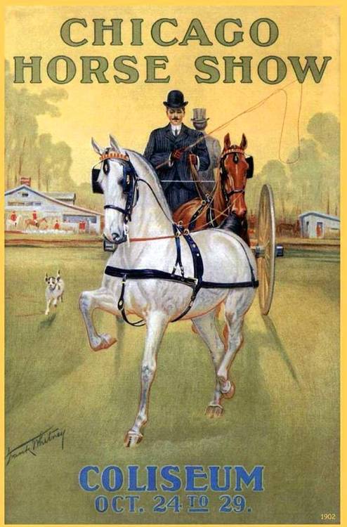 horse show chicago 500