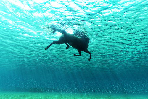 © Kurt Arrigo