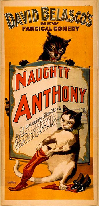 kittens naughty anthony