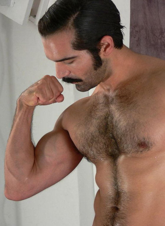 muscle and stache