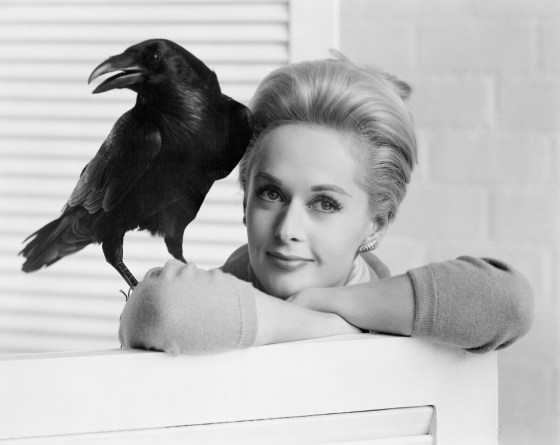 tippi hedren 22
