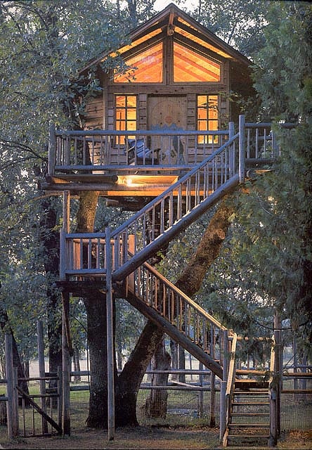 tree house 7980