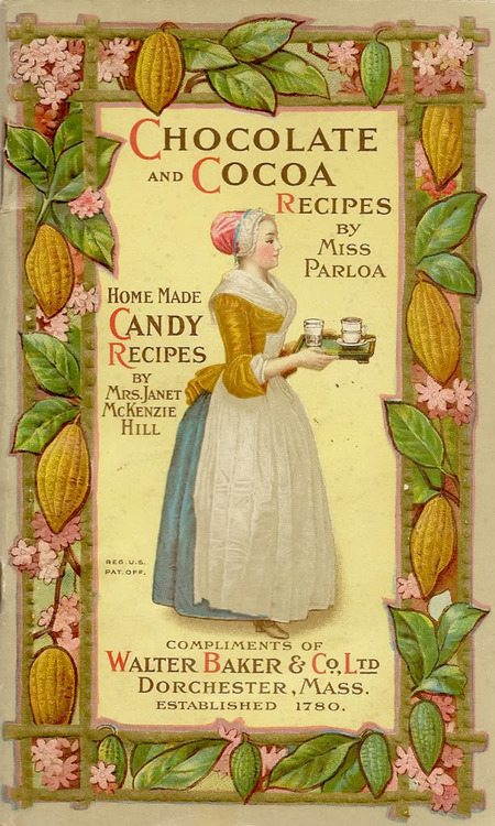 CHOCOLOATE COCOA DORCHESTER