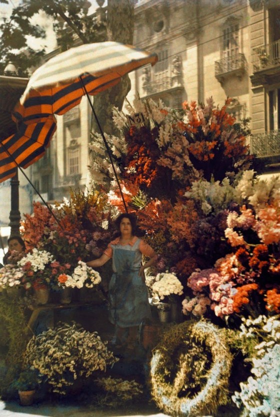 flower stand barcelona 1929