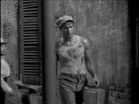 marlon brando SND GIF 500