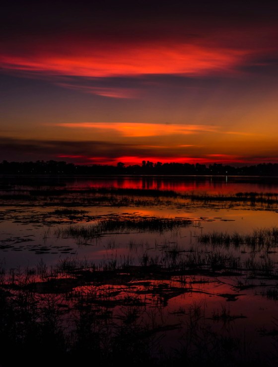 REFLECTION BY JAGJIT SINGH