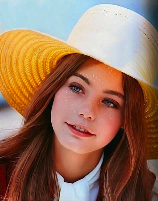 susan dey 401