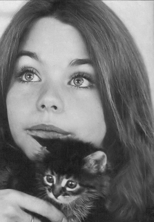 susan dey 402